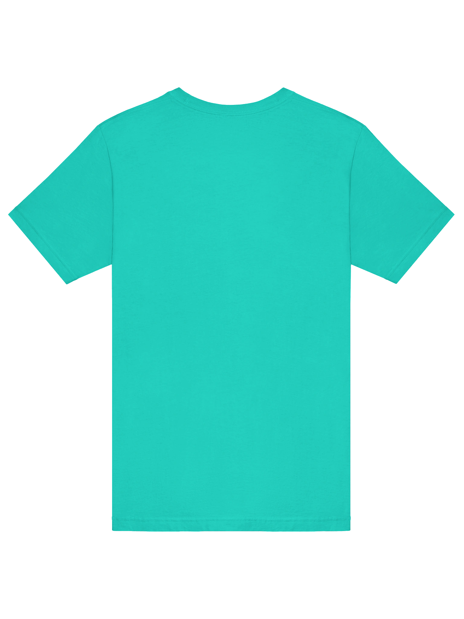 Burning Sage T-Shirt product image (90)