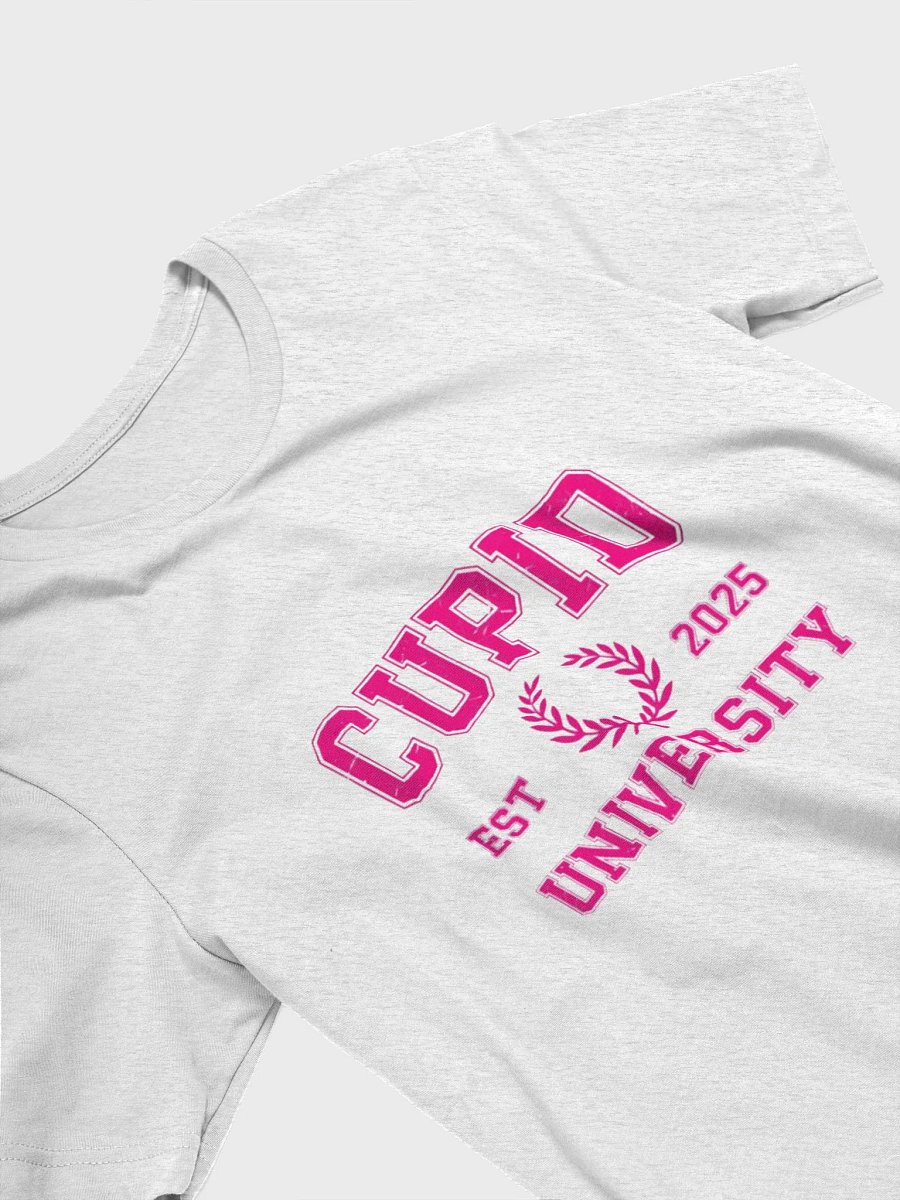 Cupid University Vintage T-Shirt product image (11)