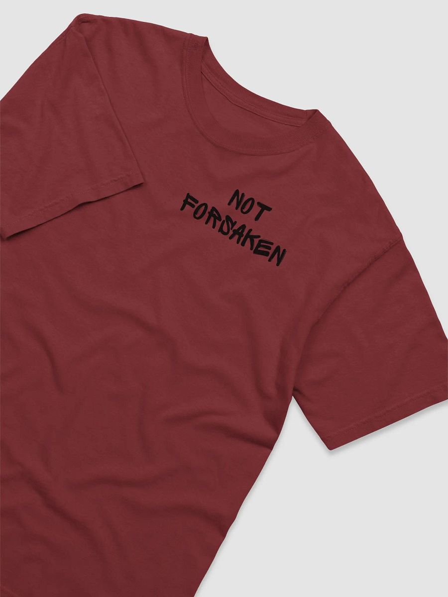 Deuteronomy 31:6 product image (30)