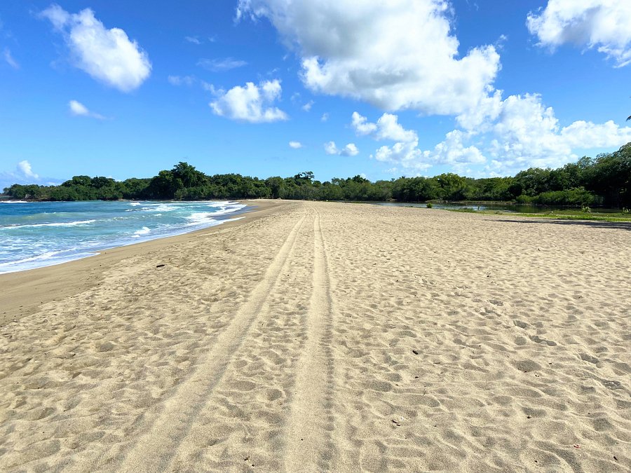 CANGREJO, PUERTO PLATA product image (3)