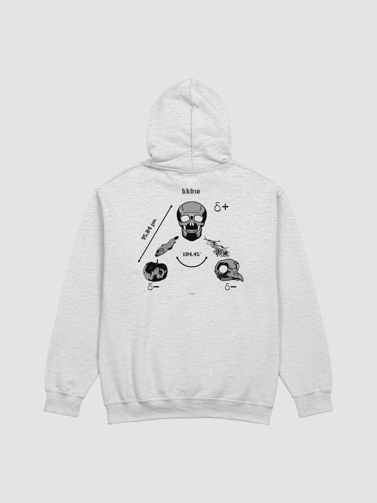 Saga Hydropolitique ( Hoodie Bright Edition ) product image (2)