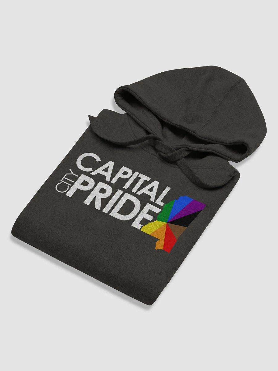 Logo Hoodie product image (6)