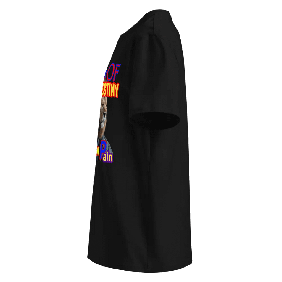 Destiny's Gatekeeper Lion Cape T-Shirt product image (9)