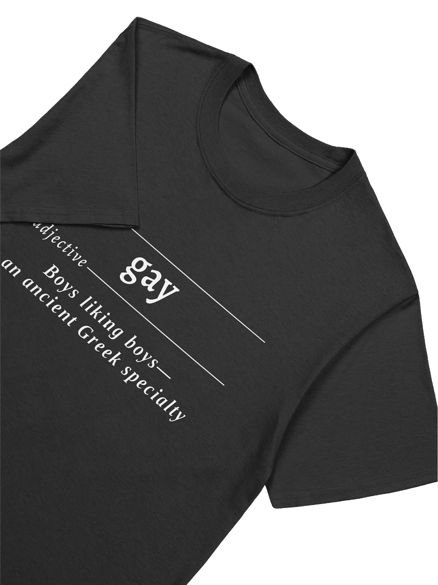 Gay Def Unisex Tee v1 product image (2)