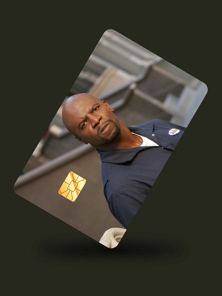 Hey Terry (Holographic) product image (1)