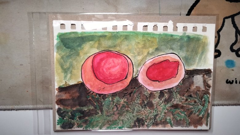 Mushroom Series Painting 2 A5 Watercolour and Ink painting product image (1)