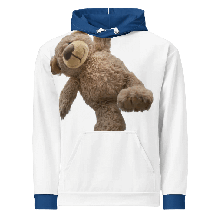Bear hoodie product image (1)