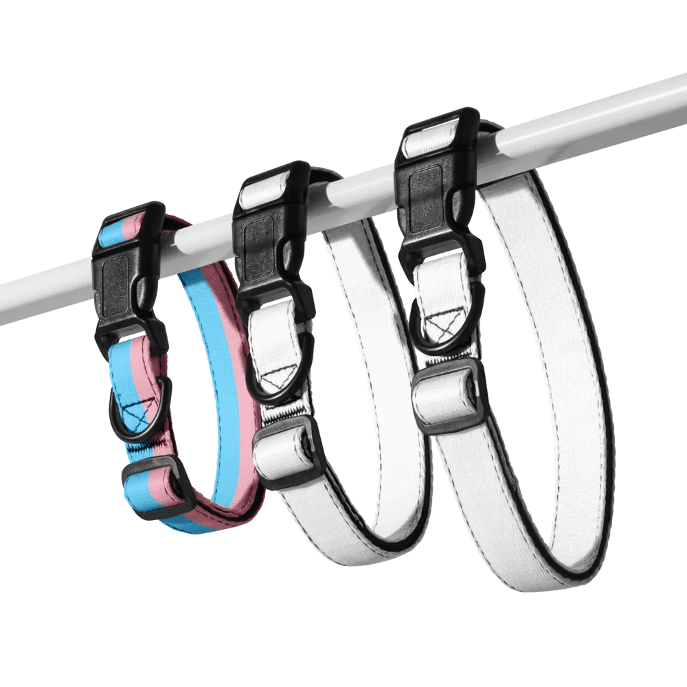 Trans Pride Pup Collar product image (7)