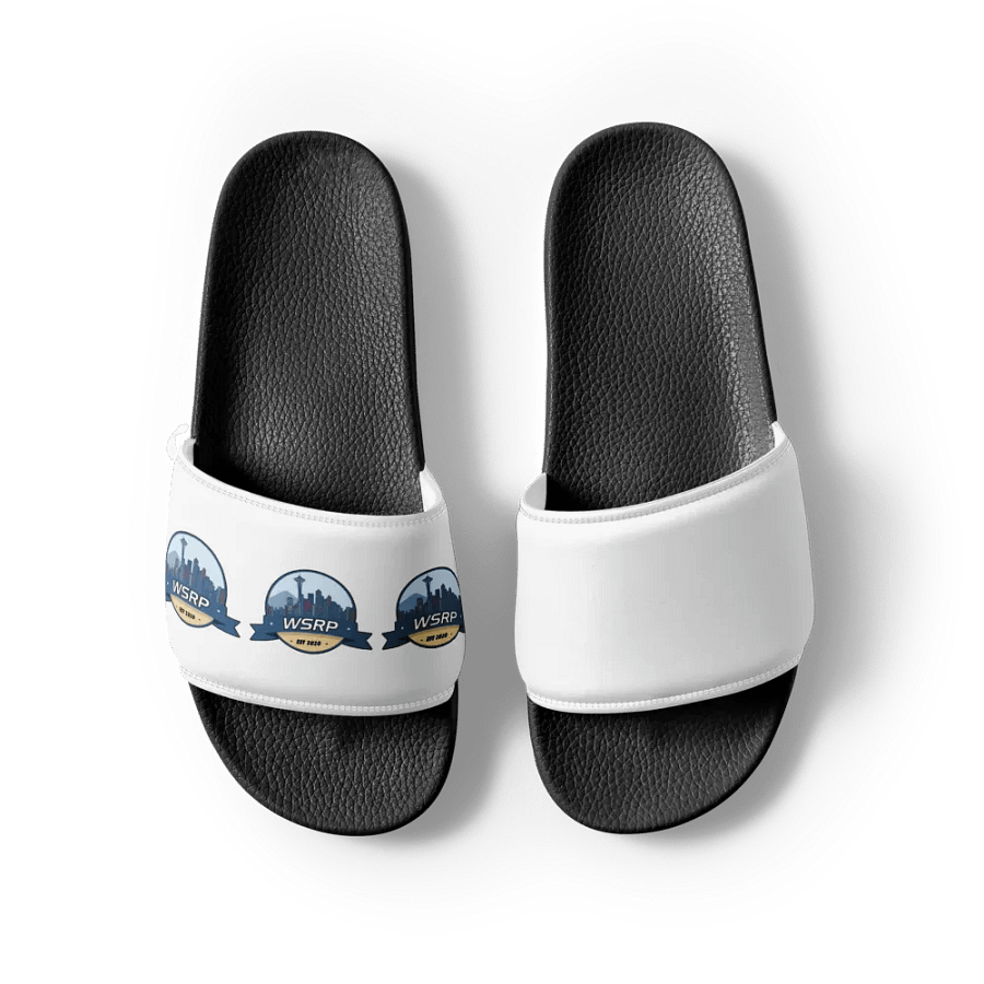 WSRP Slides product image (8)