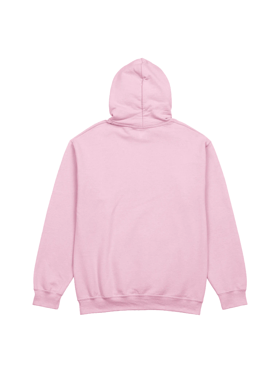 Zoombinis Fun Squad Hoodie product image (6)