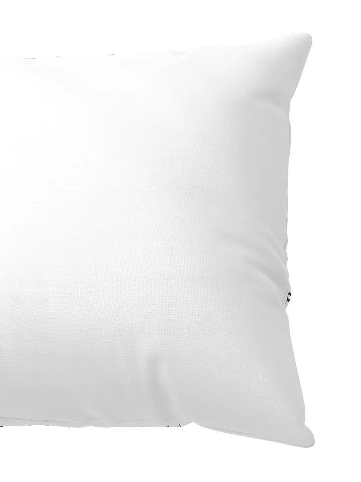 Repped Pillow product image (2)