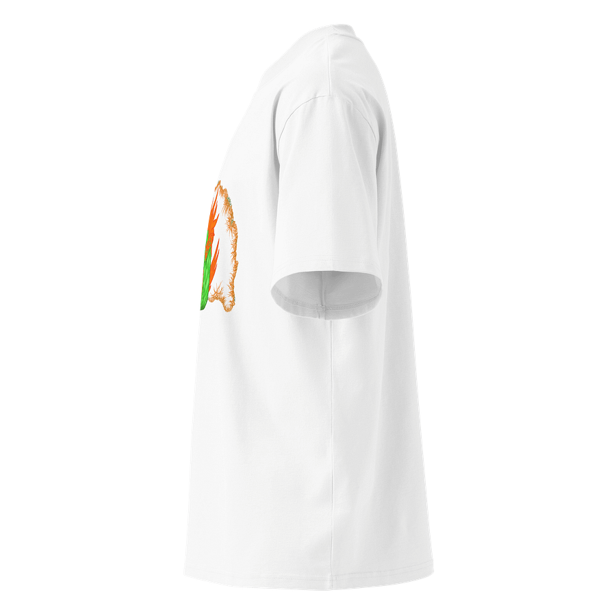 Dragon's Fury Organic Oversized T-Shirt product image (4)