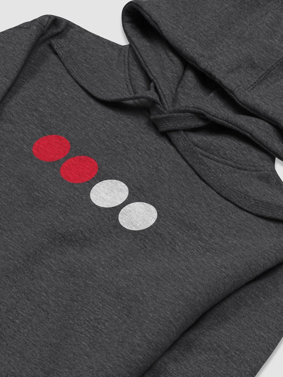 PAPI Hoodie product image (3)