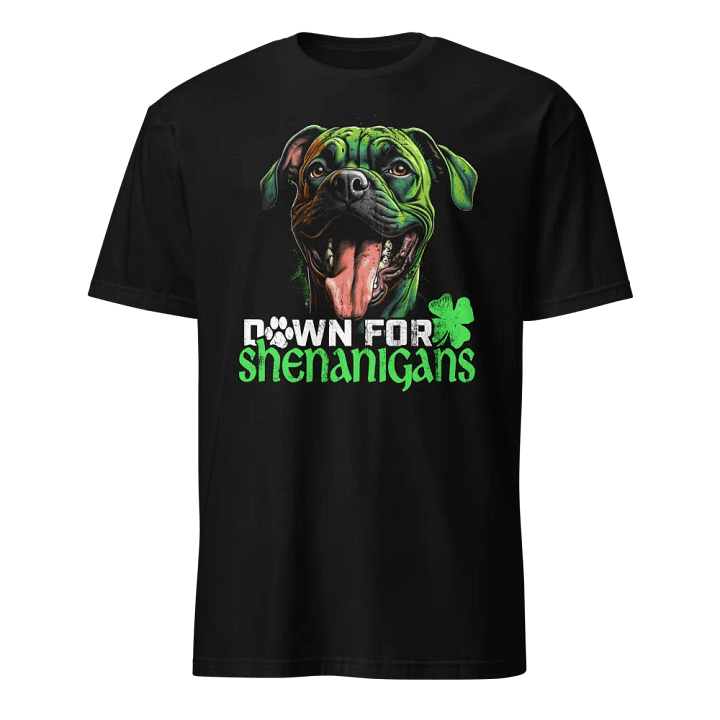 Down for Shenanigans: Boxer product image (1)