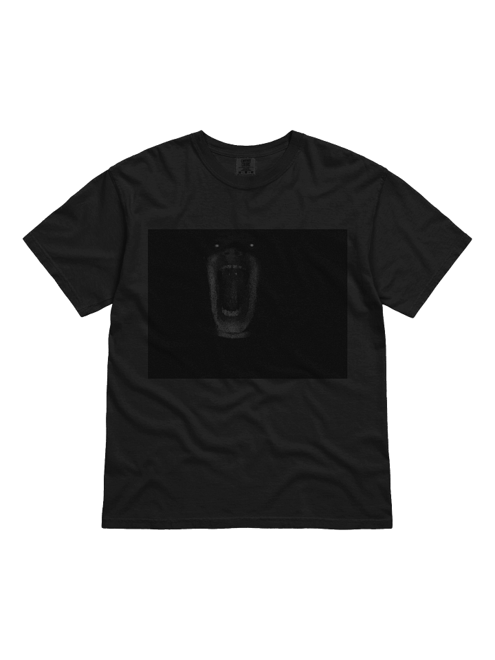 Scary Hwillis Tee product image (1)