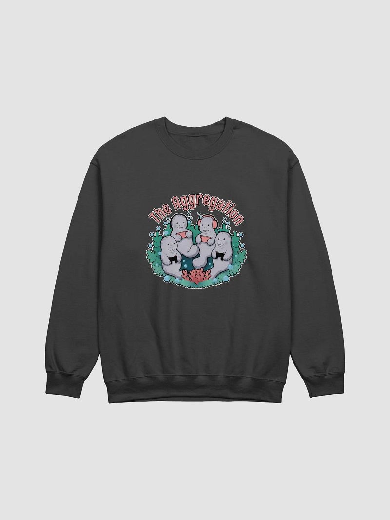 The Aggregation Crew Neck