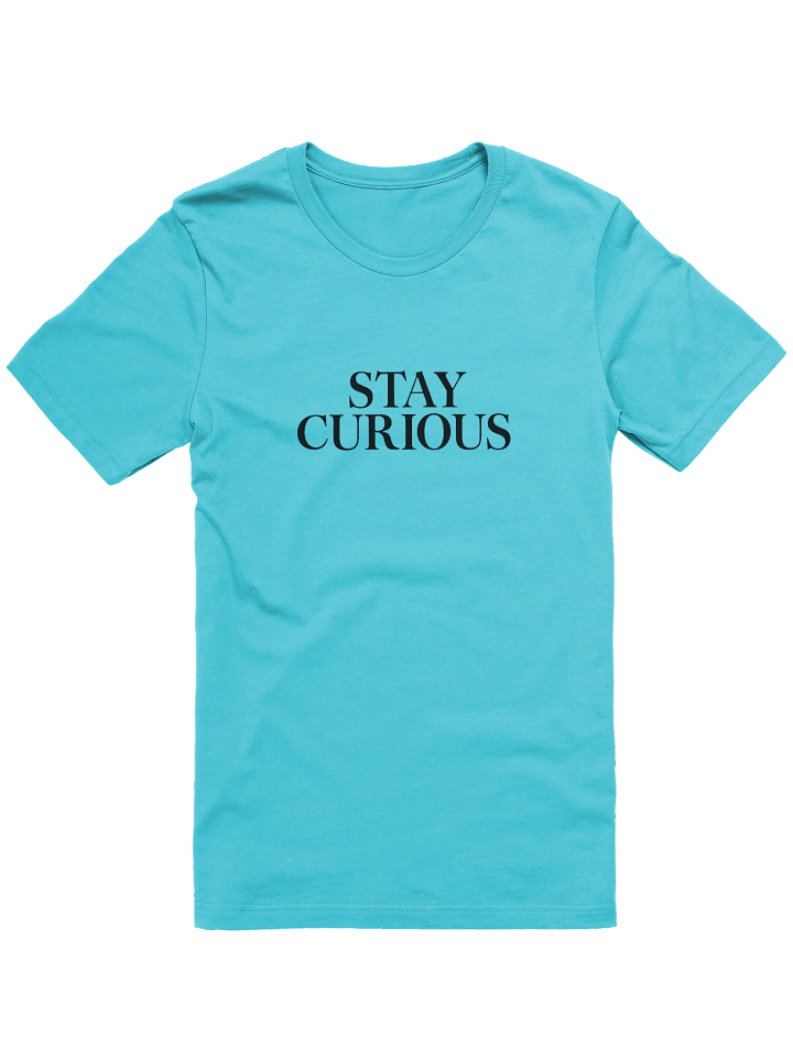 Stay Curious T-Shirt | Motivational Quote Tee | Inspirational Typography Shirt | Bella Canvas 3001 product image (1)