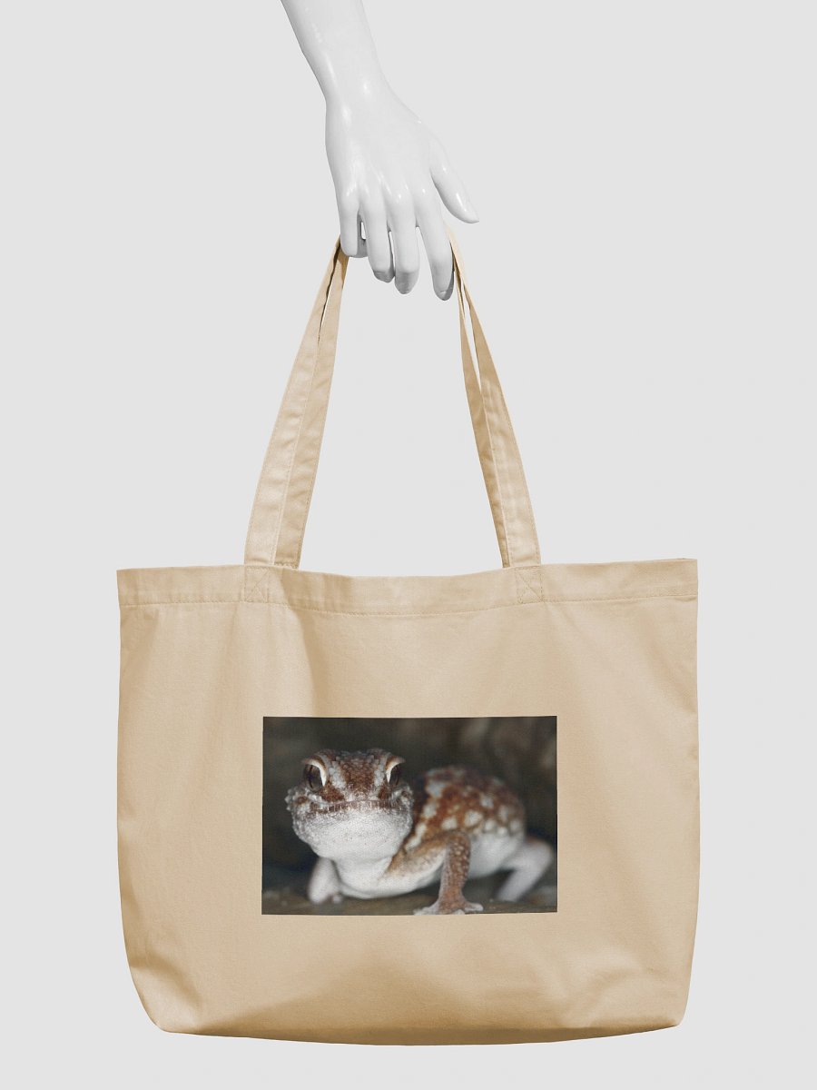 Ground Gecko-Econscious Organic Cotton Tote Bag 1 product image (3)