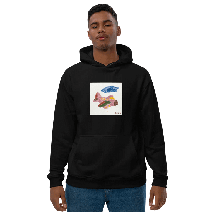 Kid Airplane (Premium Eco Hoodie) product image (1)