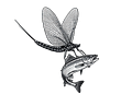 The Hungry Mayfly Co.