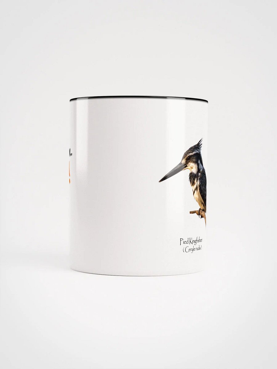 Pied Kingfisher mug product image (50)