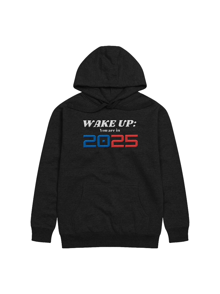 Wake Up: You Are In 2025 Embroidered Design To Cheers New Year Unisex Hoodie product image (5)