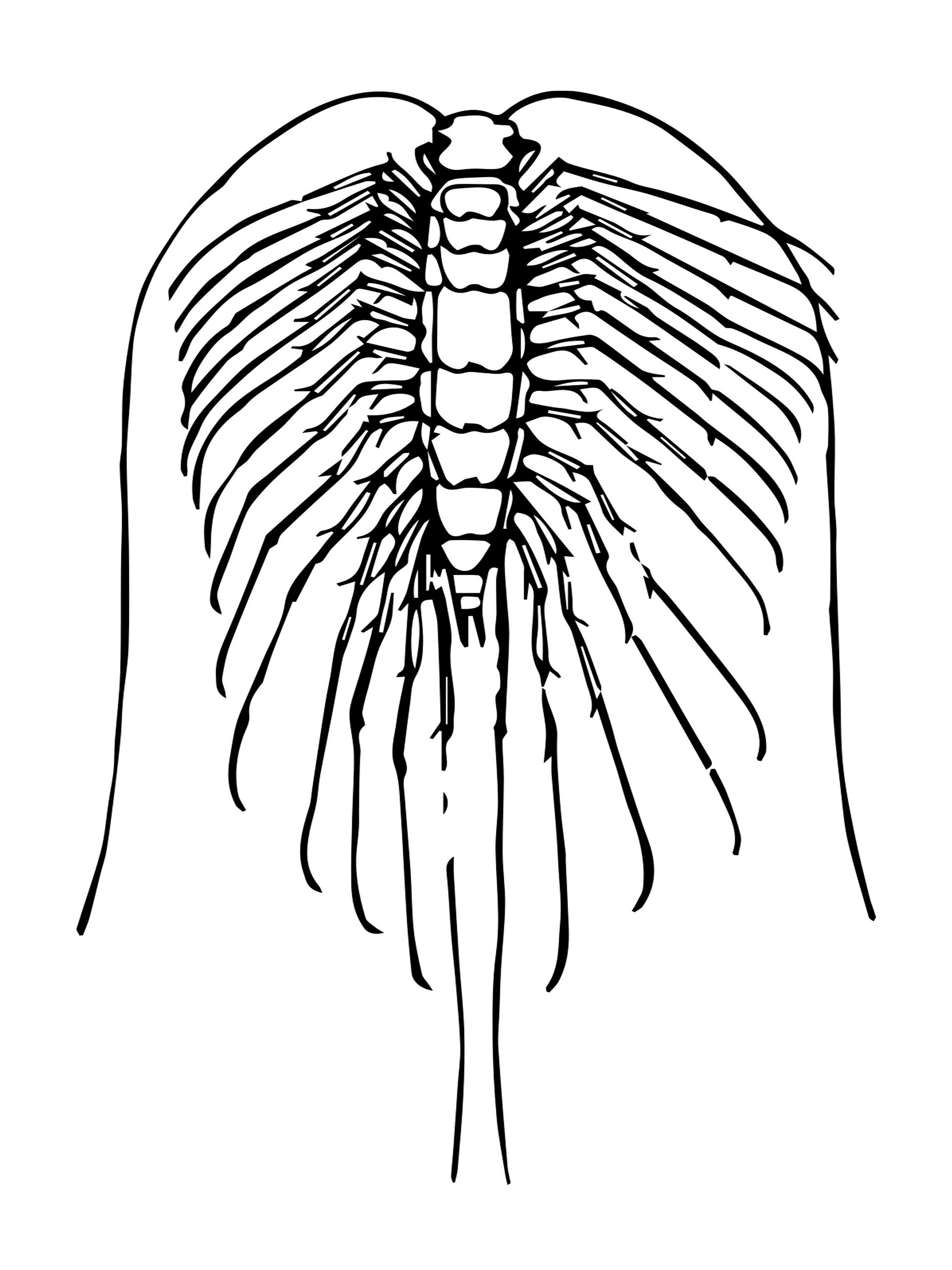 Bugs Aren't Icky A Coloring Book for Kids product image (3)