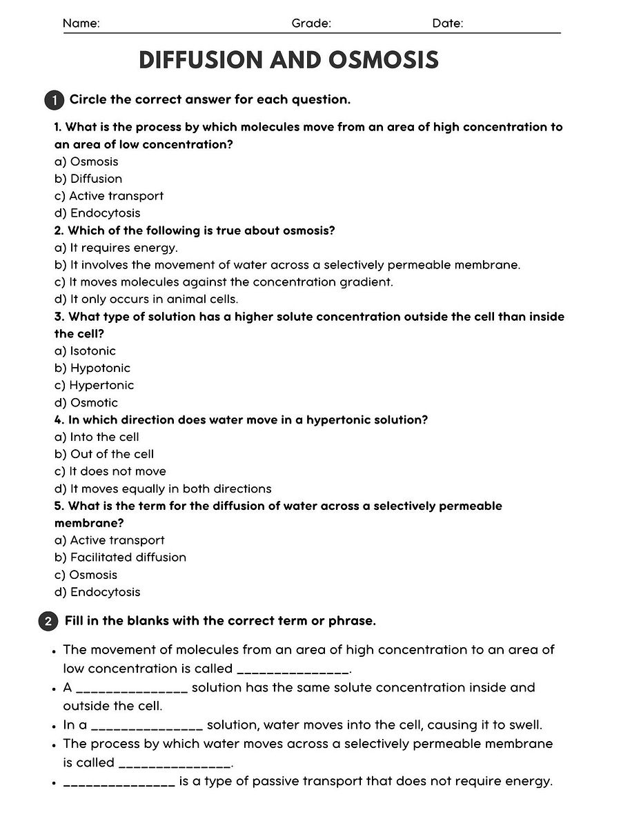 Biology Diffusion and Osmosis Worksheet - Printable PDF with Answer Key product image (1)