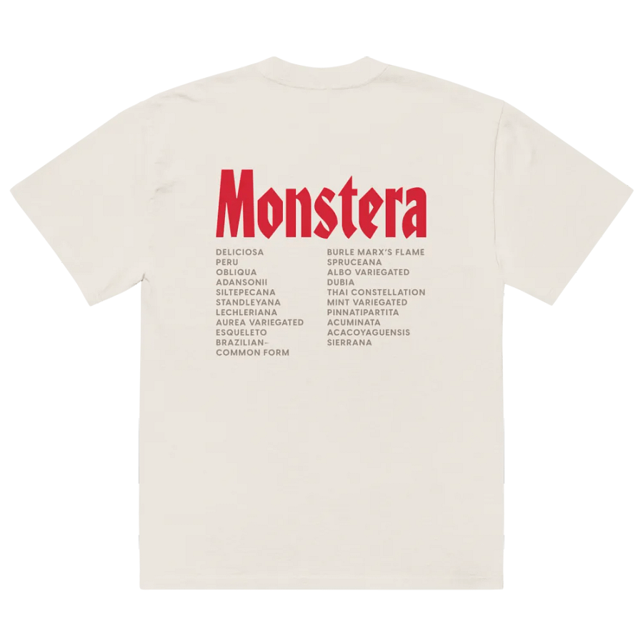 ⚡️ MONSTERA WORLD TOUR ⚡️ oversized tee product image (4)