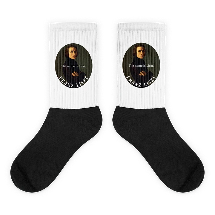 The Name is Liszt. Franz Liszt | Socks product image (1)