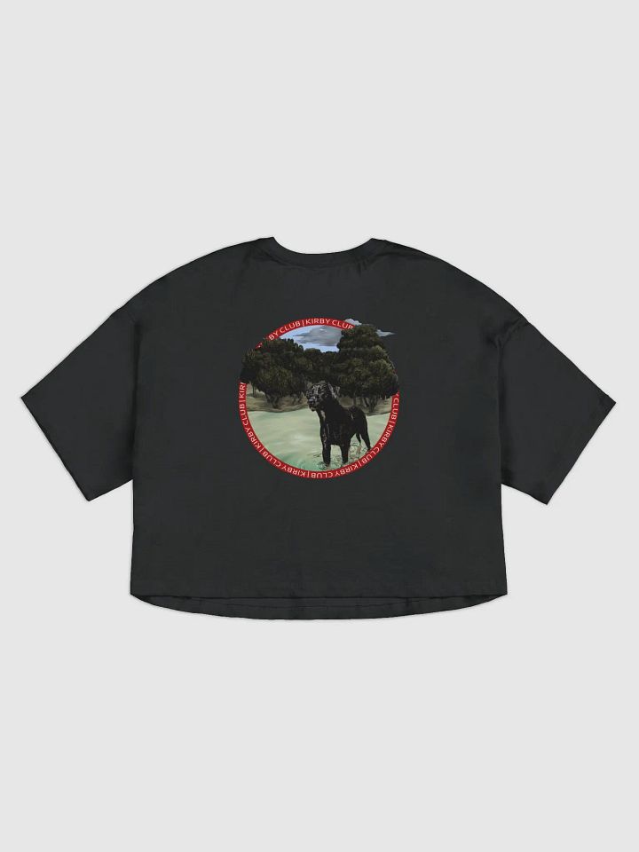 Kirby Club Crop Tee product image (3)