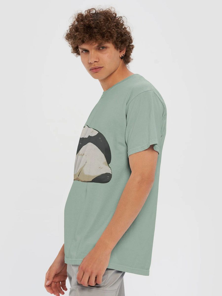 MANGXIAOWU MANGZAI🐼Giant Panda product image (71)