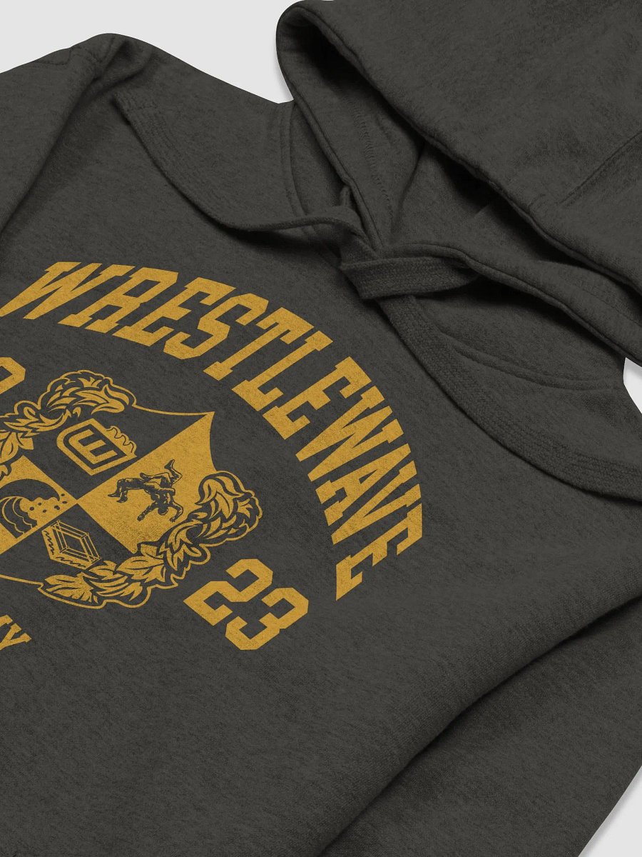 Wrestlewave Academy Hoodie product image (3)