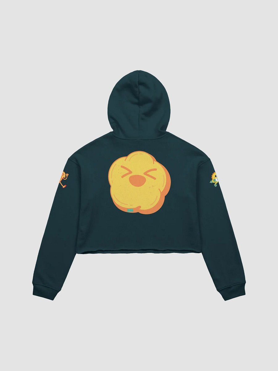 women's crop hoodie product image (9)