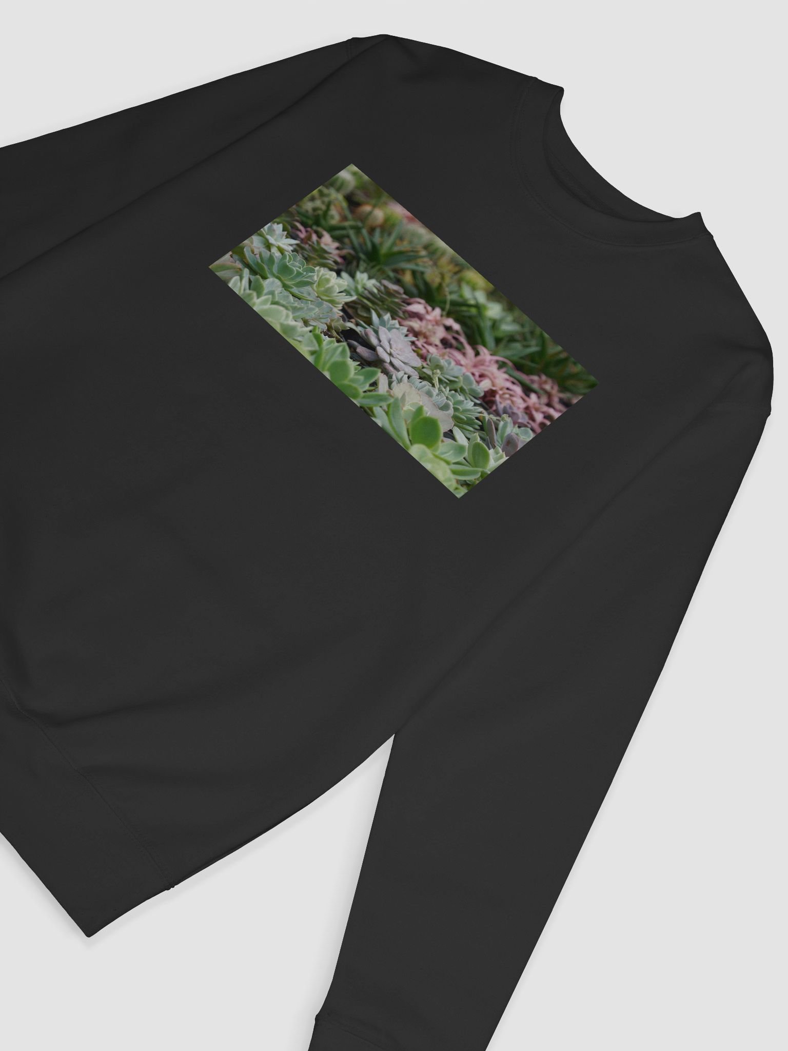 Succulent Serenity Premium Sweatshirt product image (6)