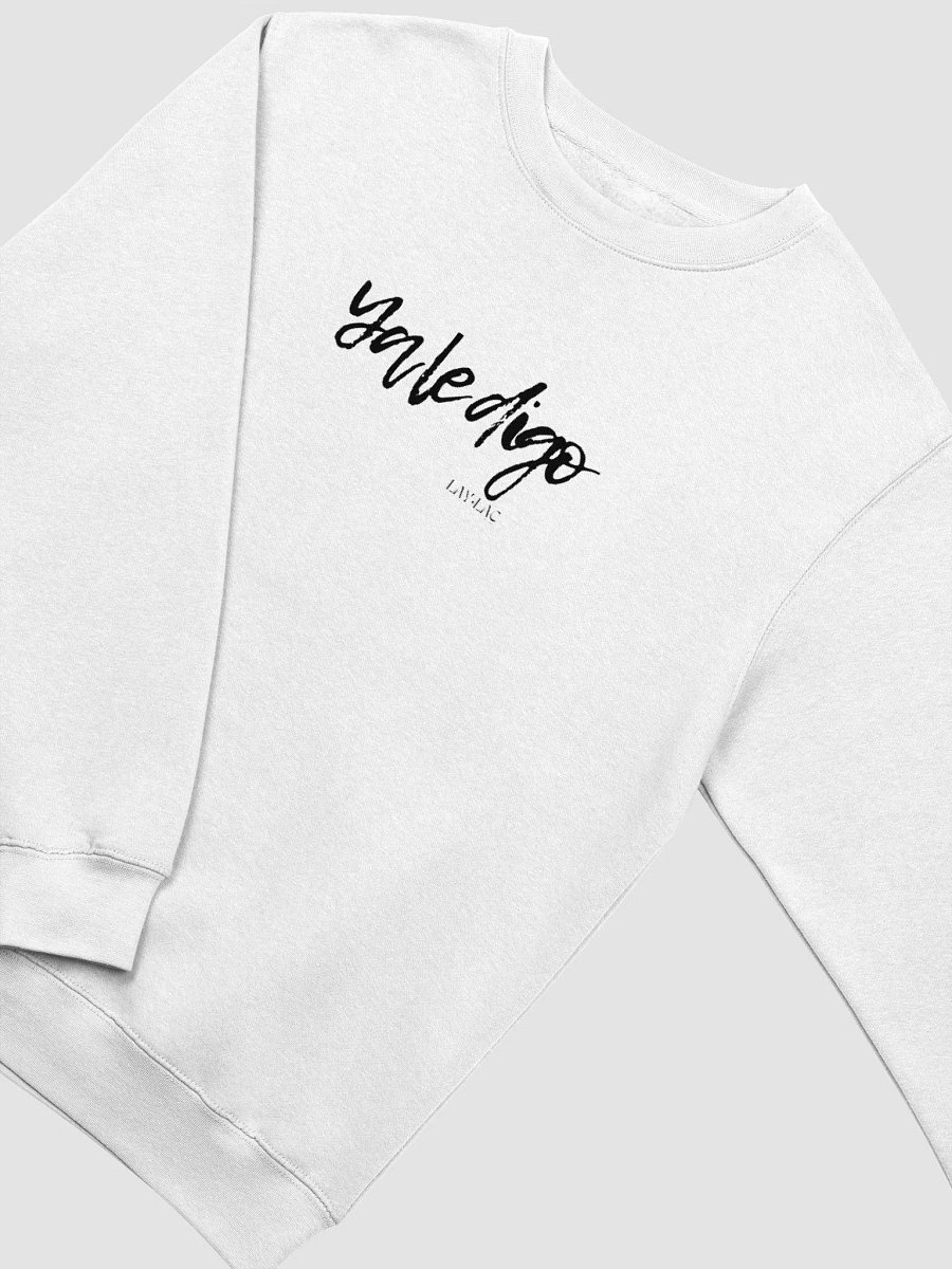 Sweatshirt product image (3)