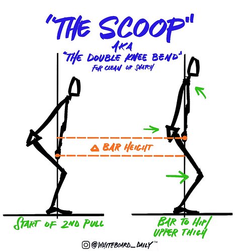 | COACHING CUE |

“The Scoop”

As defined by Greg Everett @catalystathletics “the double knee bend (AKA scoop) is the tempora...