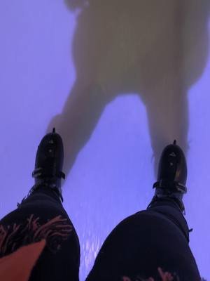 Gliding on ice is a different kind of freedom 💗 Never have I felt more free 🕊️  . . . #iceskating #icehockey #bleedorange #melbournemustangs #twitchstreamer #twitchpartner #obrienicehouse 