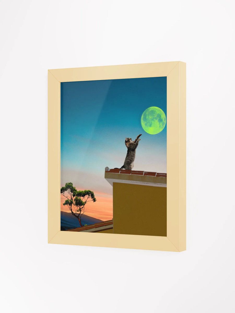 Shoot for the moon product image (8)