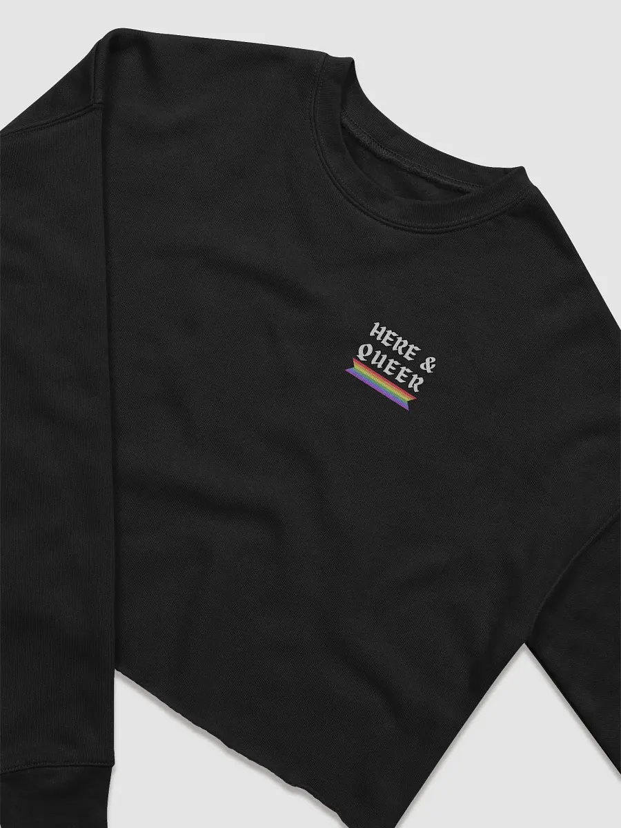 priDEMONth Crop Sweatshirt product image (2)