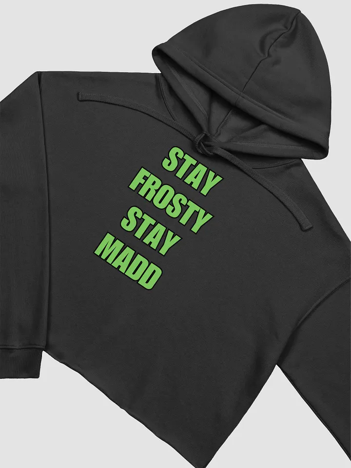 SFSM Crop Hoodie product image (1)