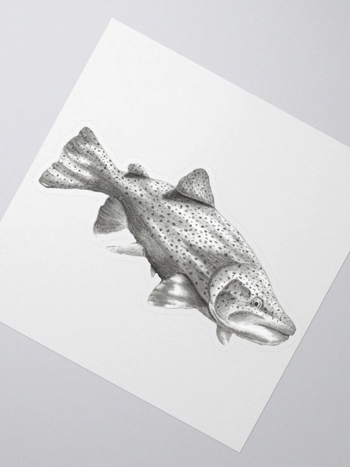 Trout Drawing Sticker product image (5)
