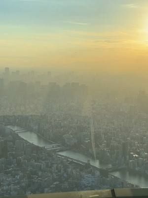 Hard to get back to real life after visiting japan…#japan #traveltiktok #tokyo #osaka 
