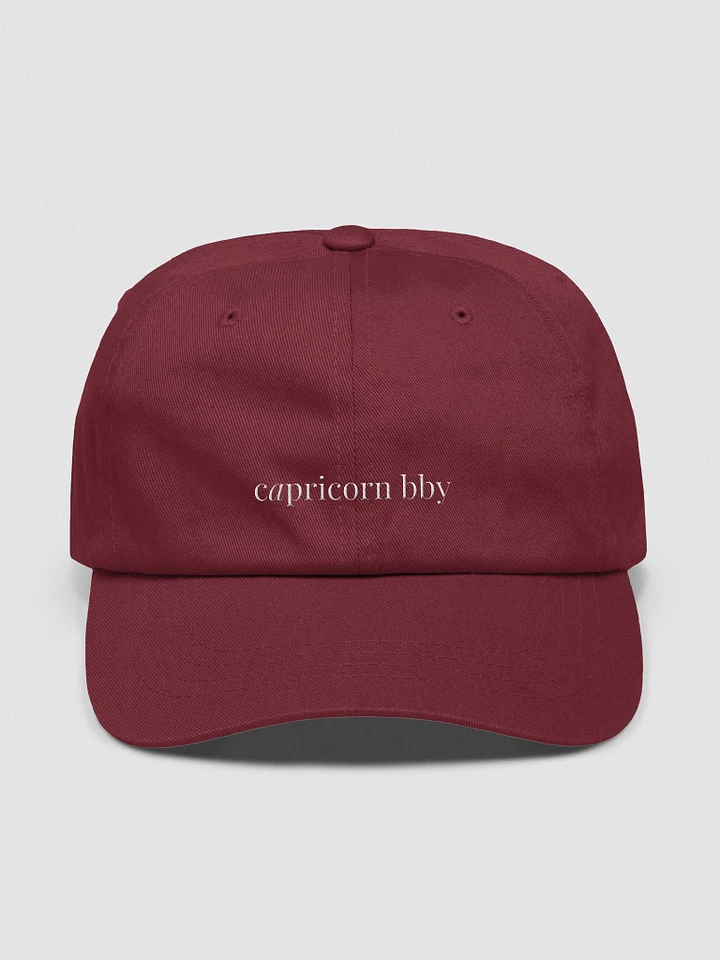 capricorn bby ~ horoscope hat product image (9)