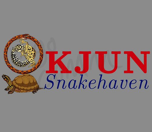 (Scroll for close ups) logo commission for @kjunsnakehaven 

#snake #snake #SnakeCollection #snakeart #cornsnake #leopardgeck...