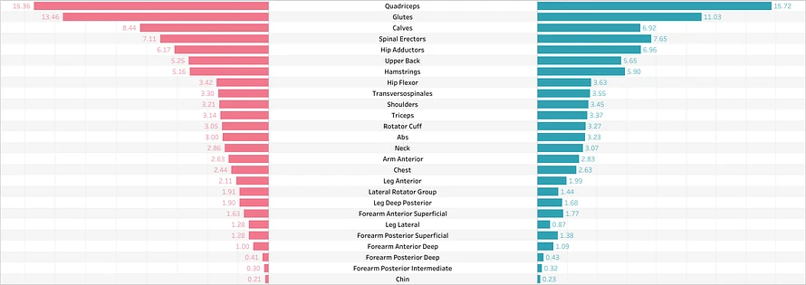 Percentage Volume of Muscles by Common Grouping
