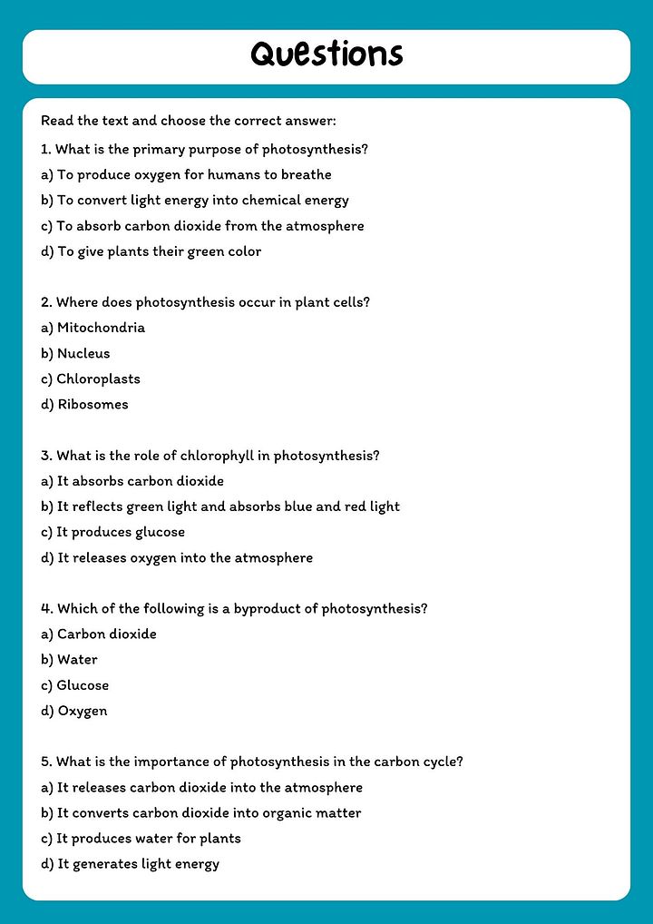 Photosynthesis Reading Comprehension Passage with Questions (PDF Download) product image (2)