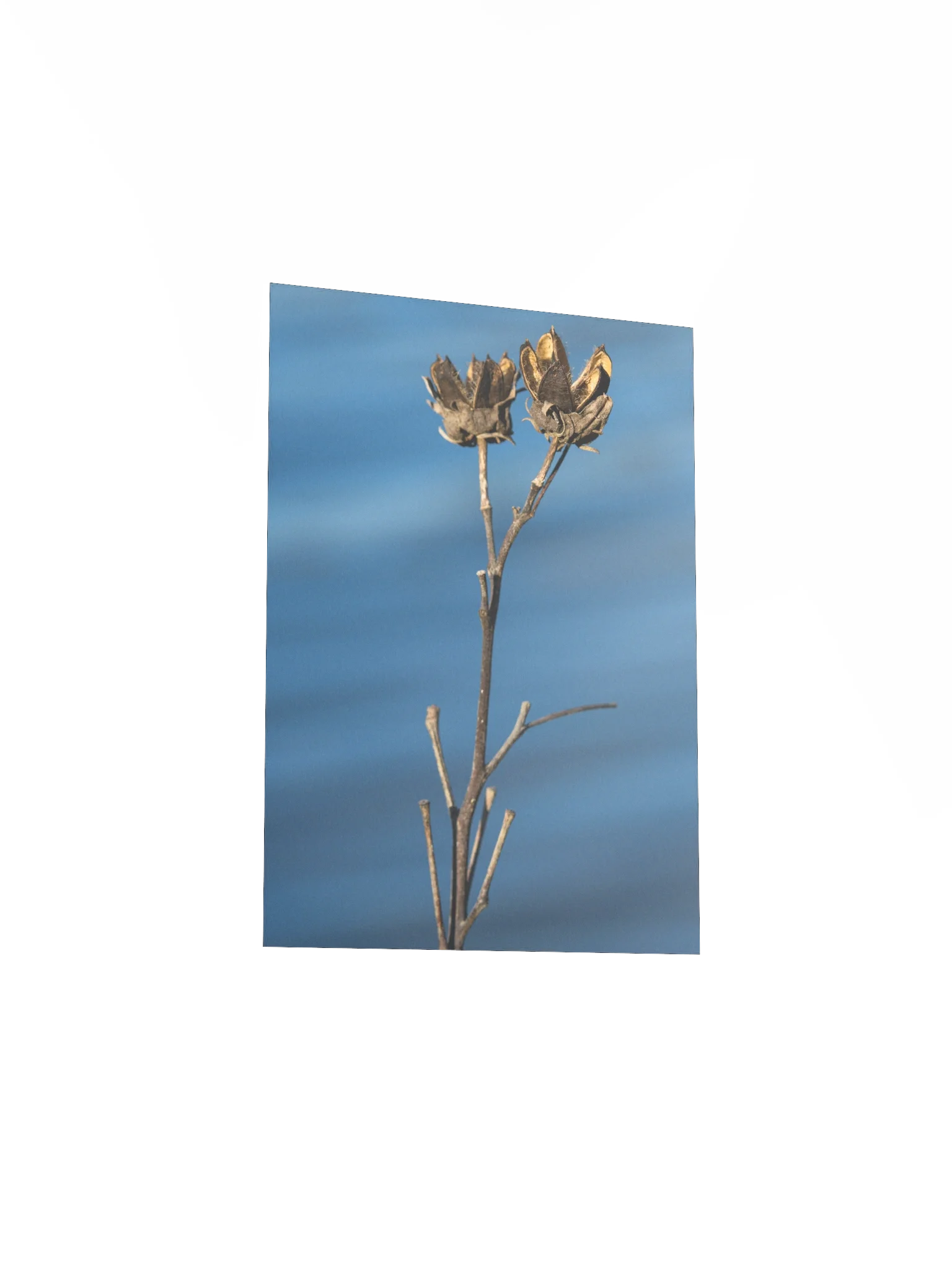 A Rush With Stillness (Matte Poster) product image (7)