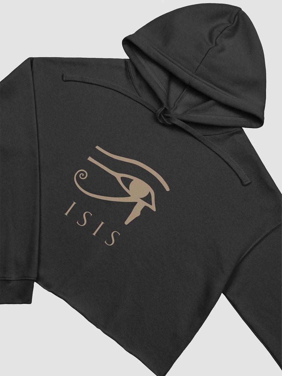 Isis Multicolor Crop Top Fleece Hoodie Fitness Training product image (3)