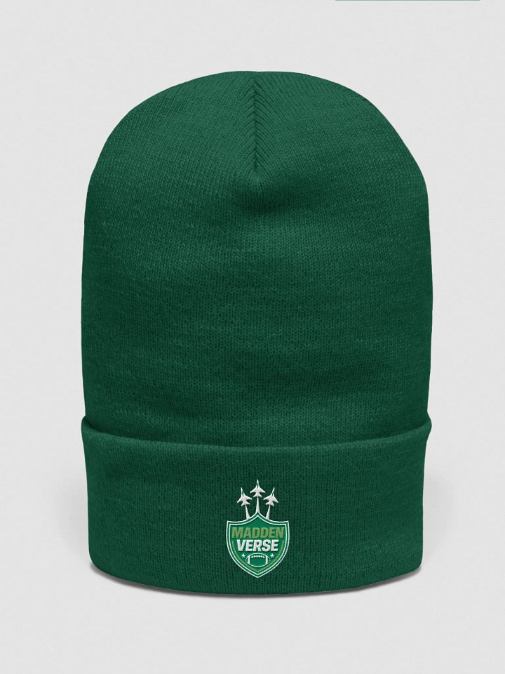 TAKE FLIGHT MADDEN VERSE HAT product image (1)